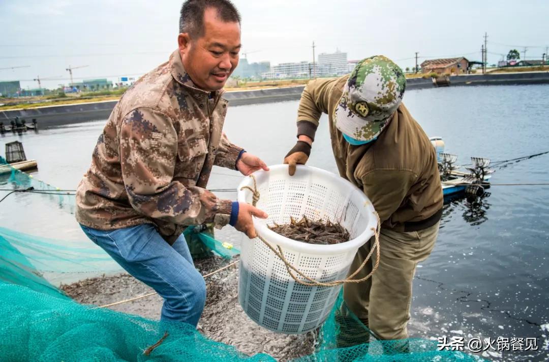 北海正宗海味鲜虾虾滑,广西北海新鲜虾滑