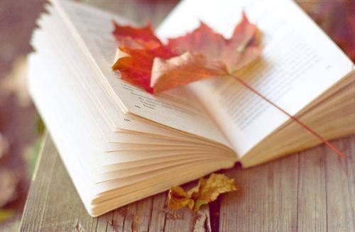 自媒体写作有收益的平台,四大平台自媒体