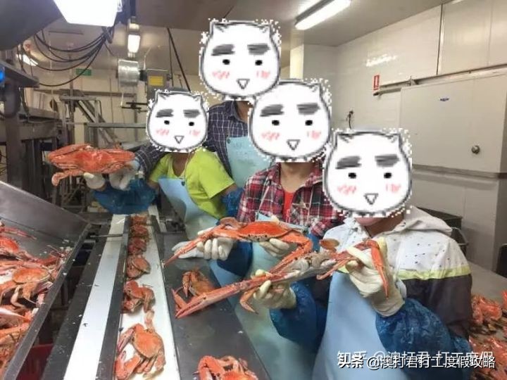 十大在家最挣钱的工作,去做什么工作才是最赚钱的