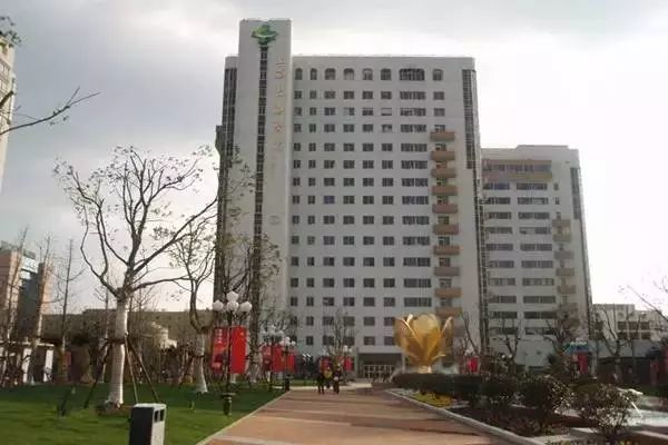 上海最顶级的私立医院,上海最高逼格医院