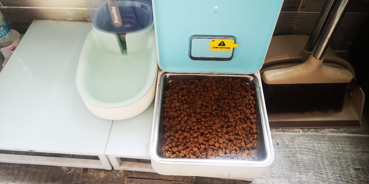 养猫一个月猫砂多少钱,到底值不值得养猫