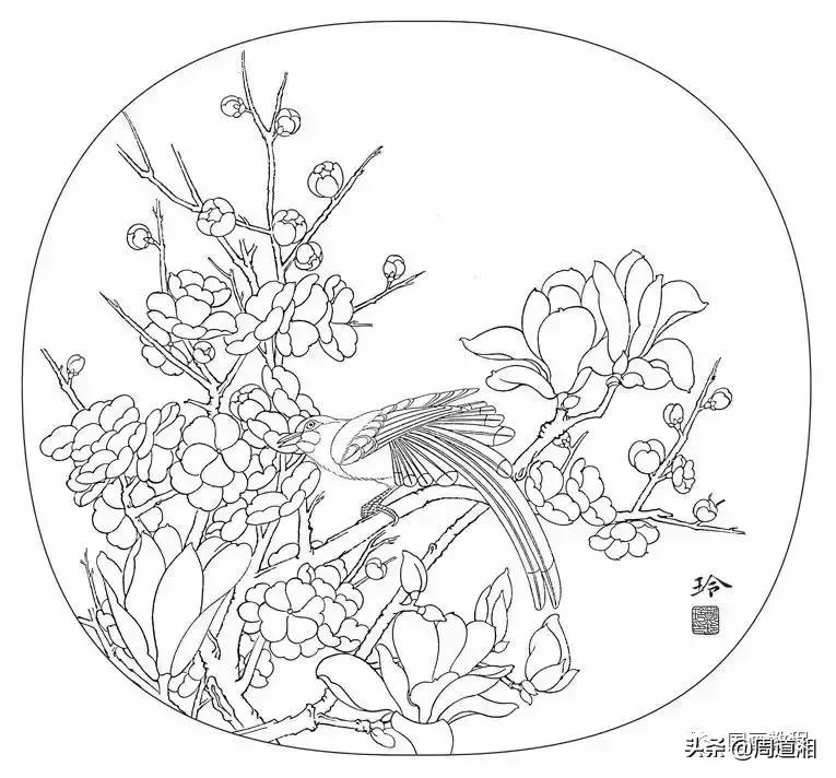 宋人工笔花鸟临摹步骤,工笔花鸟玉兰的画法