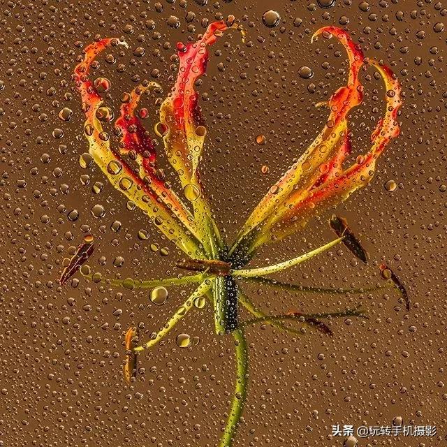 在家拍摄100个创意技巧,在家拍摄100个创意摄影方案