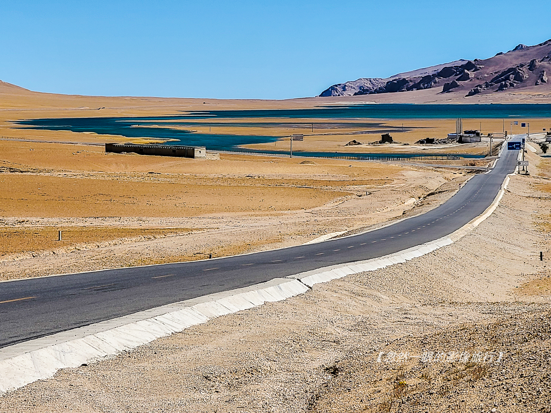 阿里无人区野狼出没,阿里无人区狐狸