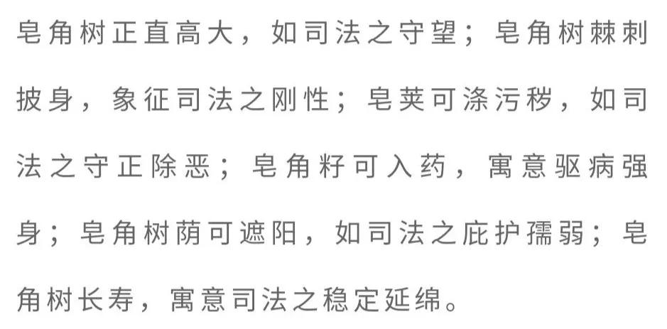「书香佳韵」厦门市中级人民法院黄鸣鹤：台阶上的皂角树