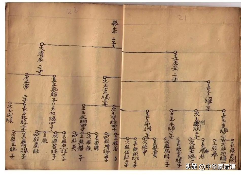 家谱编修实用大全,家谱书写格式大全