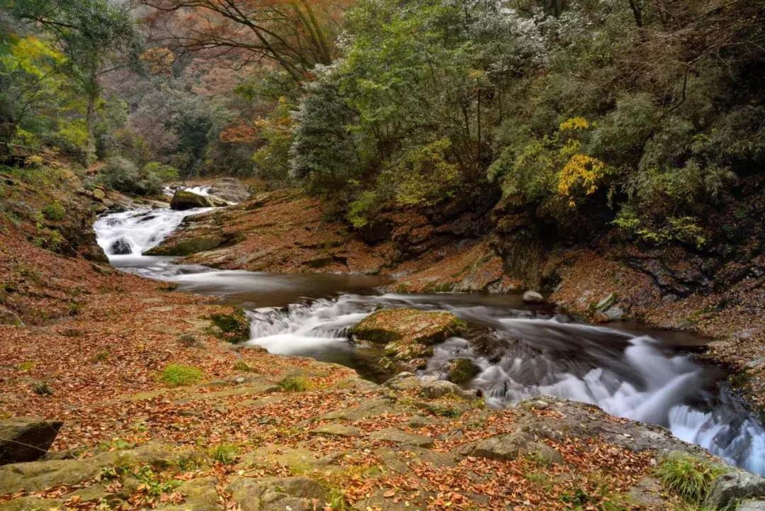 如果有一天累了就回老家到处走走,如果有一天累了就回来吧