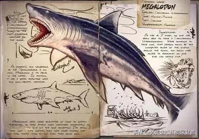 深海里能发光的动物,深海24米的巨型鲨鱼