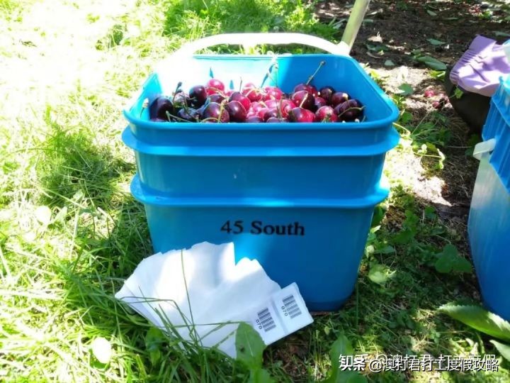 十大在家最挣钱的工作,去做什么工作才是最赚钱的