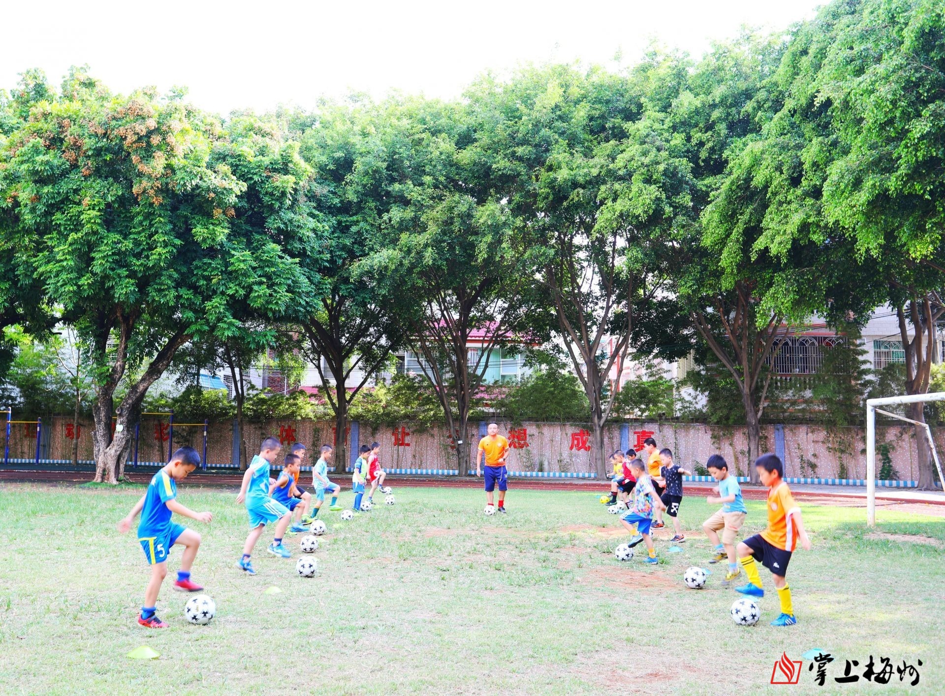 锤炼足坛明日之星！来看看梅州梅县区如何踢出一片天