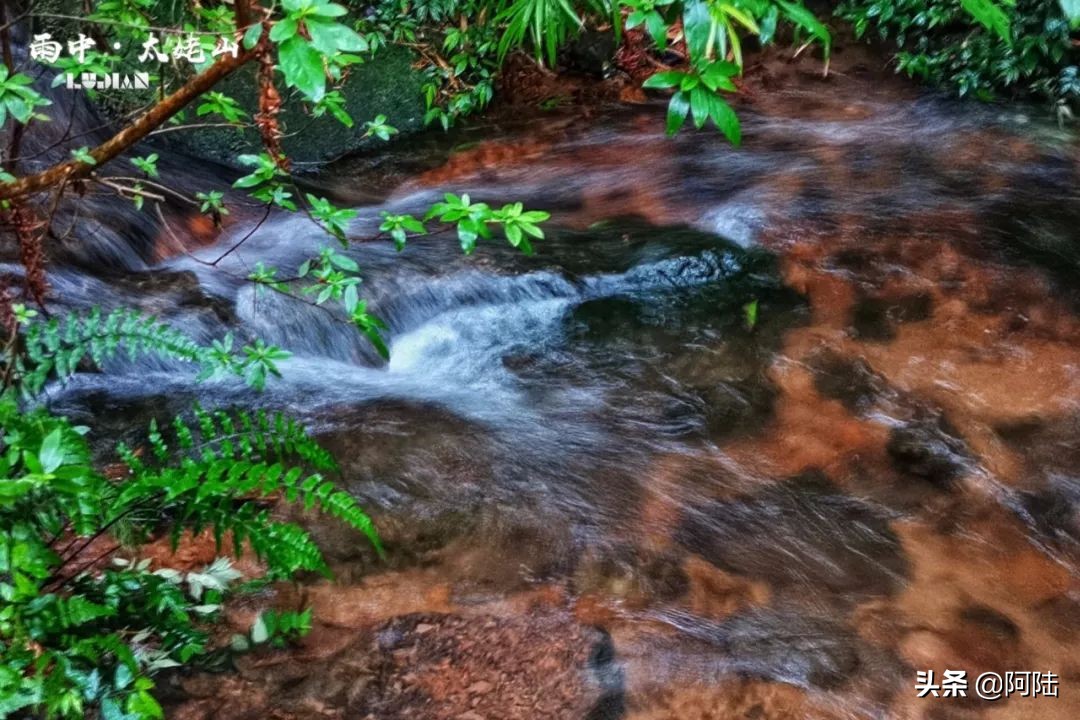 雨中爬太姥山,雨中登太姥山