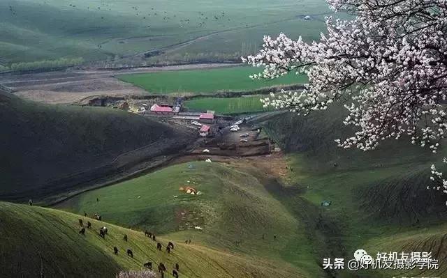 相机如何设置参数拍摄光影的技巧,佳能相机拍摄人像参数调整教程