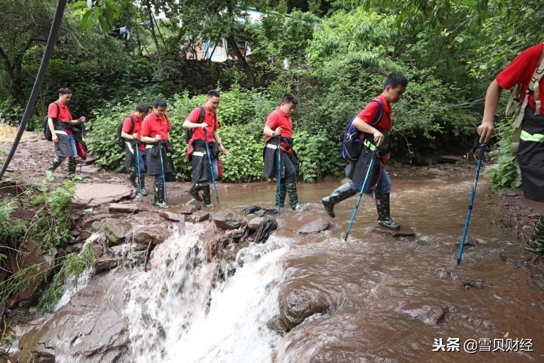 许家印返回故里,许家印老谋深算