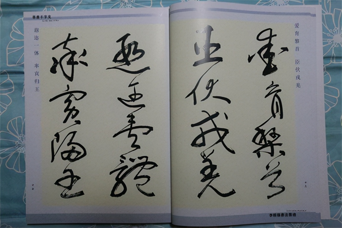 草书千字文真迹,书法千字文作品欣赏启功先生