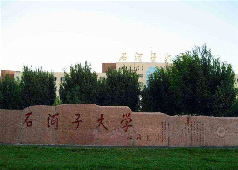 新疆新的双一流高校,全疆最好的大学