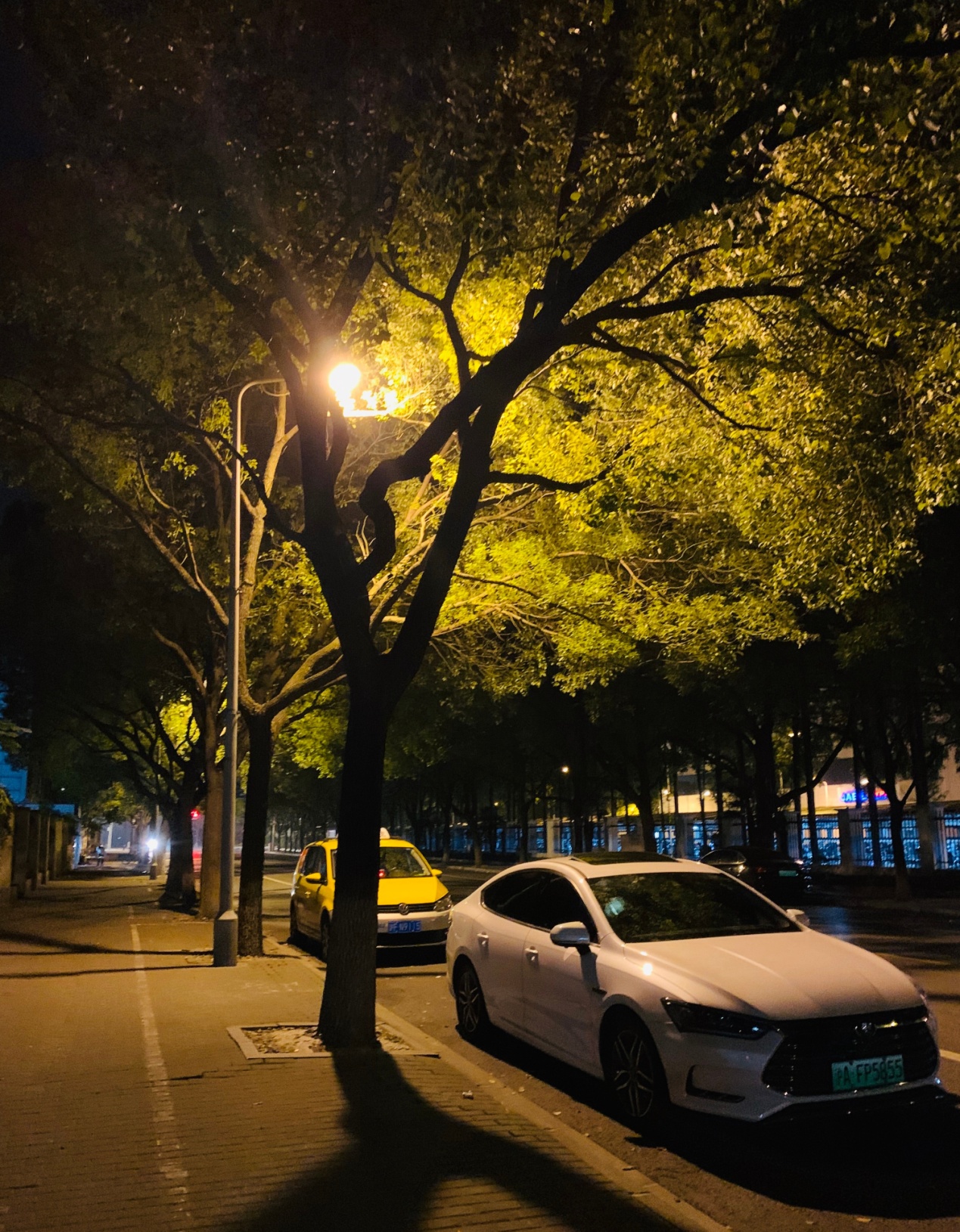 跑滴滴夜里挣钱还是白天挣钱,白天跑滴滴晚上代驾月入多少