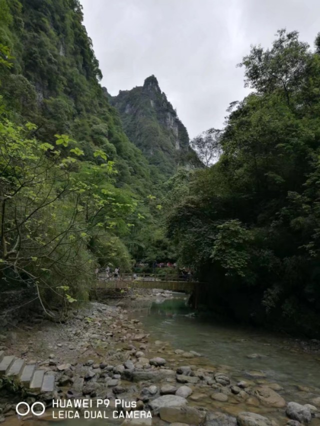 重庆黑山谷避暑适合吗,重庆避暑7天黑山谷