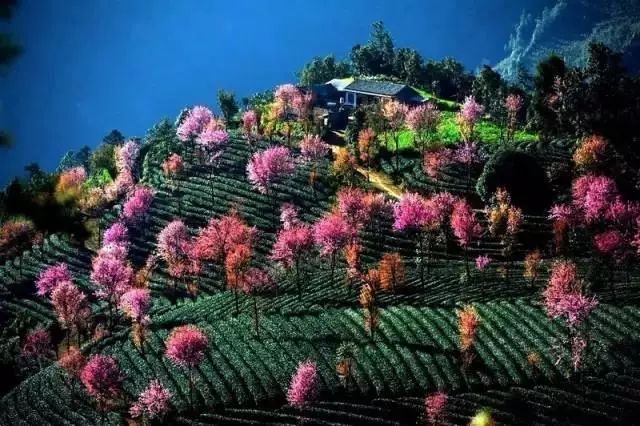 下半年旅行最佳时间表,2023最佳旅游时间表