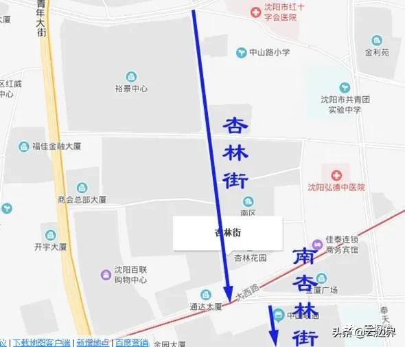 这里真的有杏林吗？揭开杏林街与南杏林街的秘密