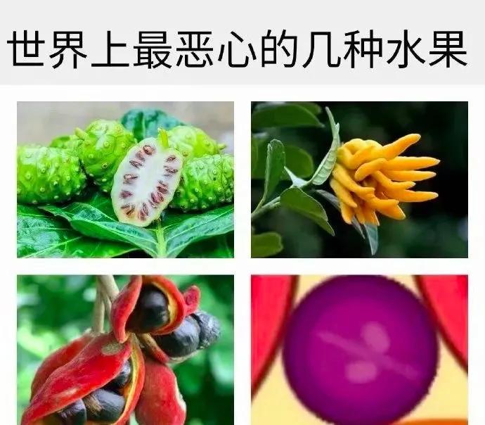 上头警告，没有一个人能逃出“合成大西瓜”