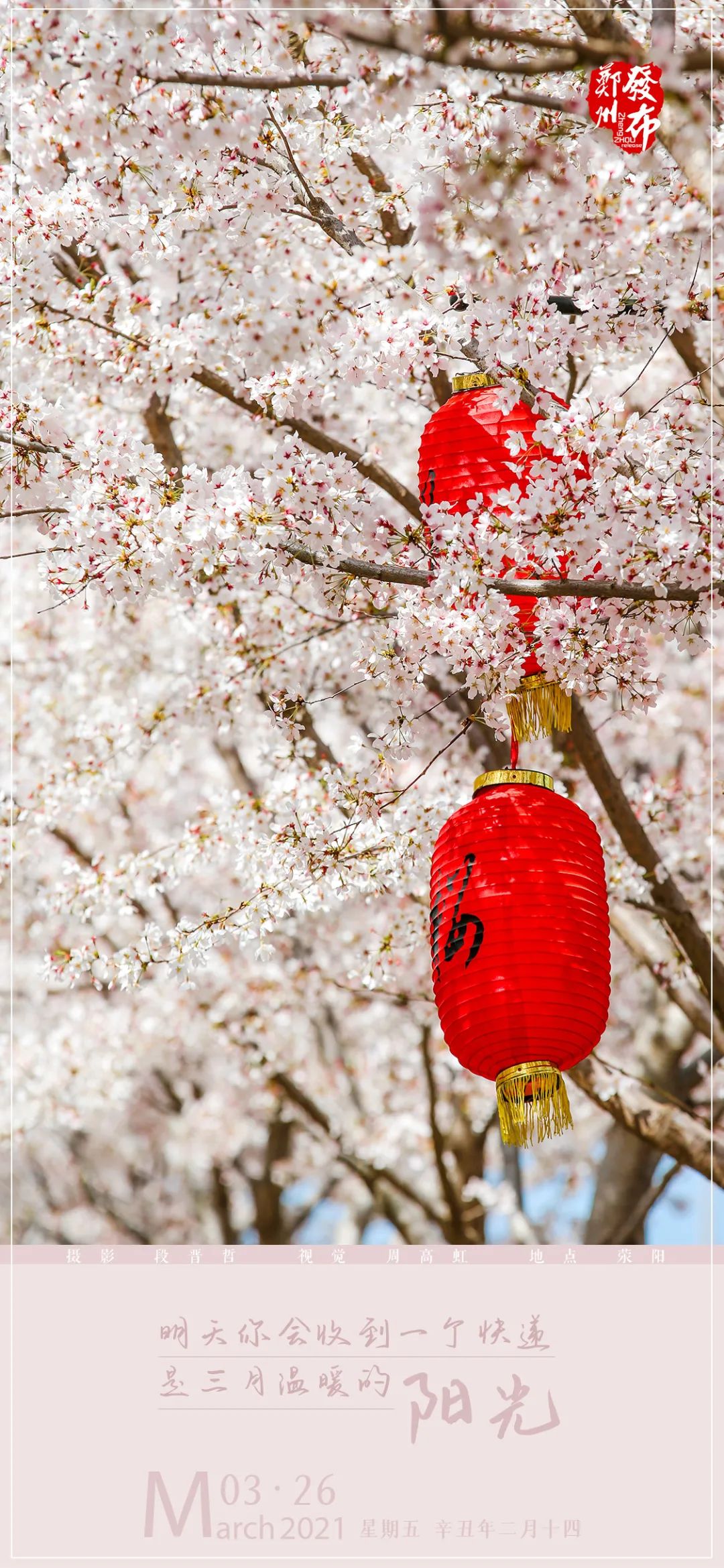 黄河的文化视频,2022黄河文化月简介