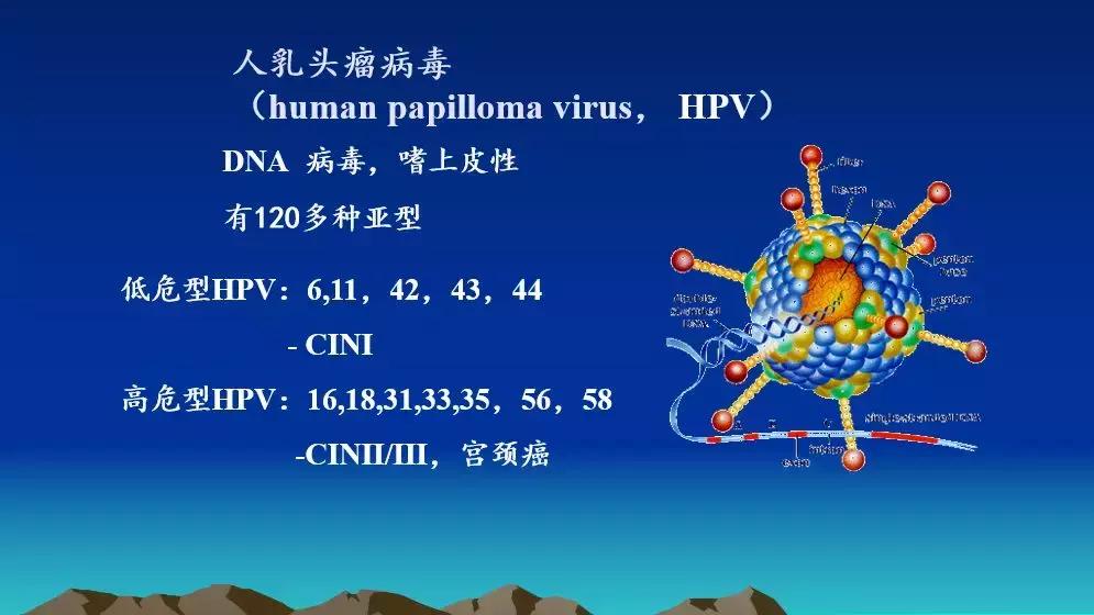 朱建龙妇科肿瘤,上海浦东医院朱建龙
