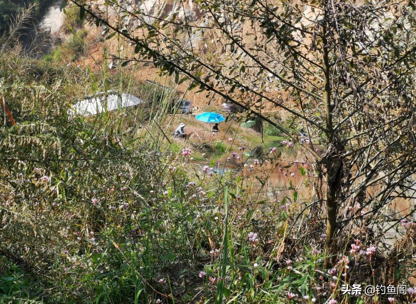 冬季钓鱼夜钓什么时间最好,初春夜钓钓鱼的最佳时间表