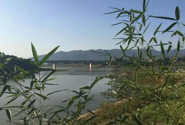 木河洞街,木洞河街