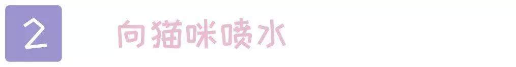 猫咪犯了错该如何批评？这2个错误的方式不要再用了