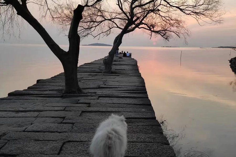 海边姑娘的民宿,苏州西山岛石公山民宿299推荐10家