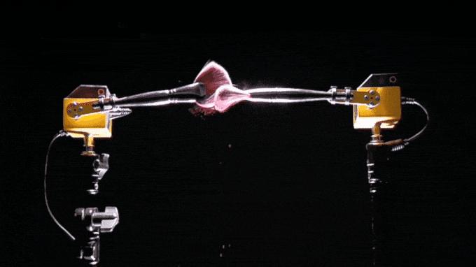 设计新趋势,设计新流行趋势