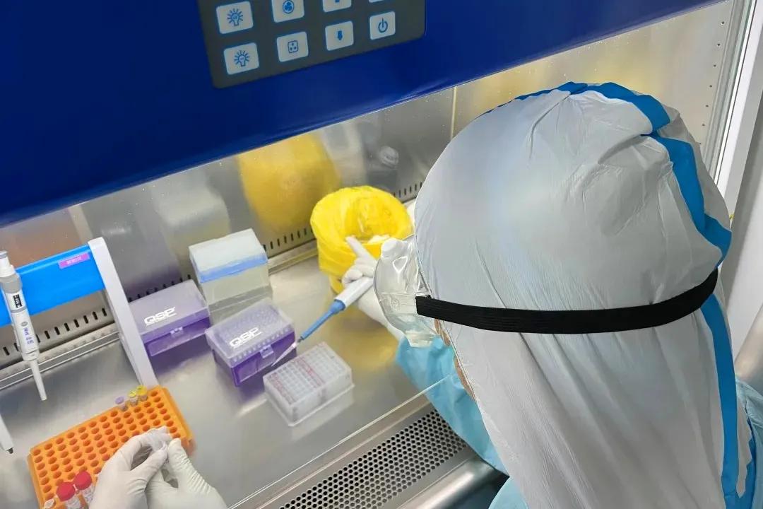 探访核酸检测实验室,中国科学院深圳医院核酸检测时间