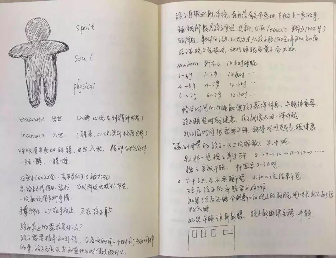 新西兰顶级幼儿教育,新西兰早期儿童教育课程理念