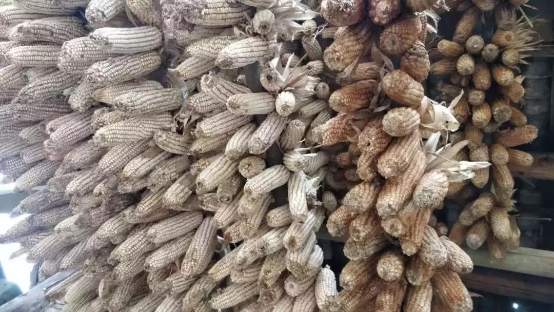 跨越2100多公里，我们为大山深处的孩子们上了一堂“云上美术课”