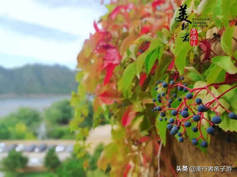 1688元2晚的酒店,688元一晚的酒店