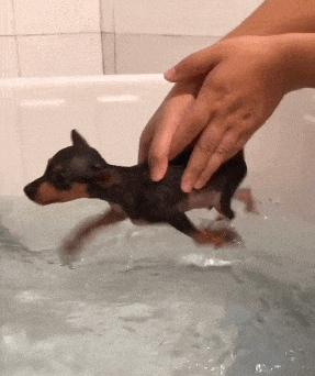 搞笑gif开心一刻原来高手在民间,搞笑gif你大爷果然还是你大爷