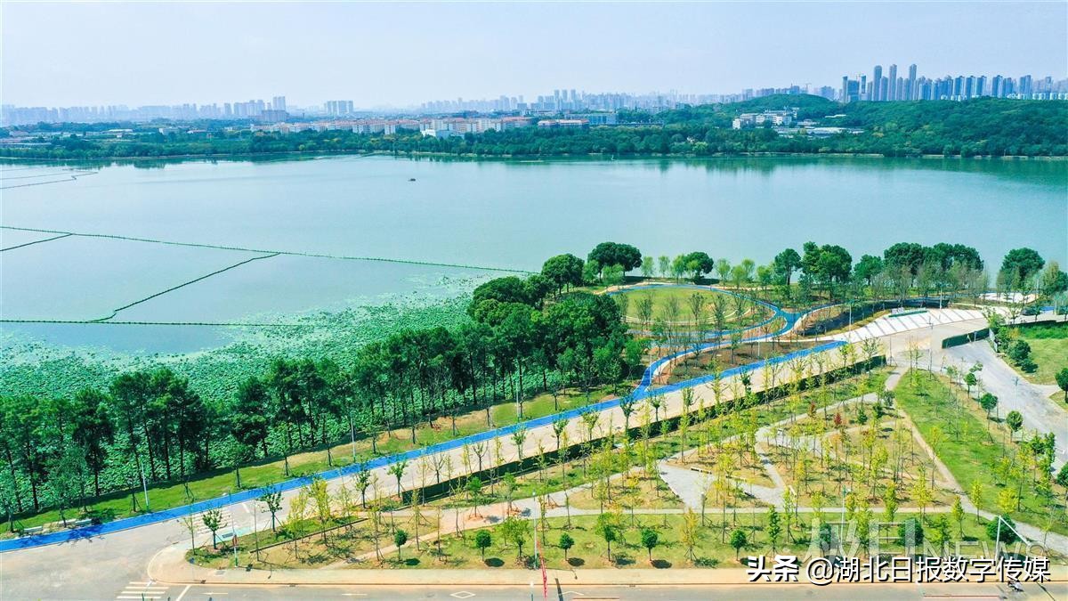 涓崡璐㈠ぇ鍗楁箹缁块亾,璐㈠ぇ鍗楁箹缁块亾