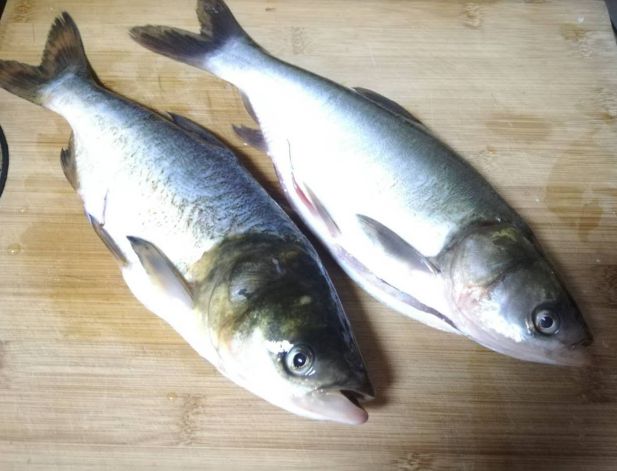 达瓦一击e并继竿使用感受,达瓦一击e并继竿价格