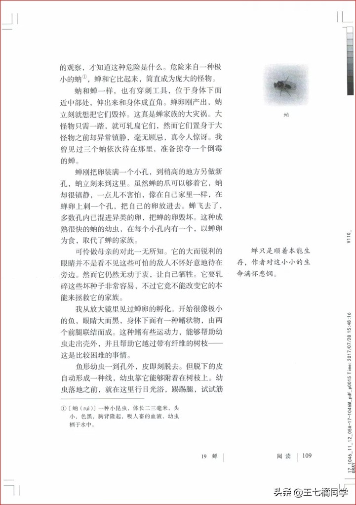 部编人教版八年级语文上册电子课本（家教必备电子教材）