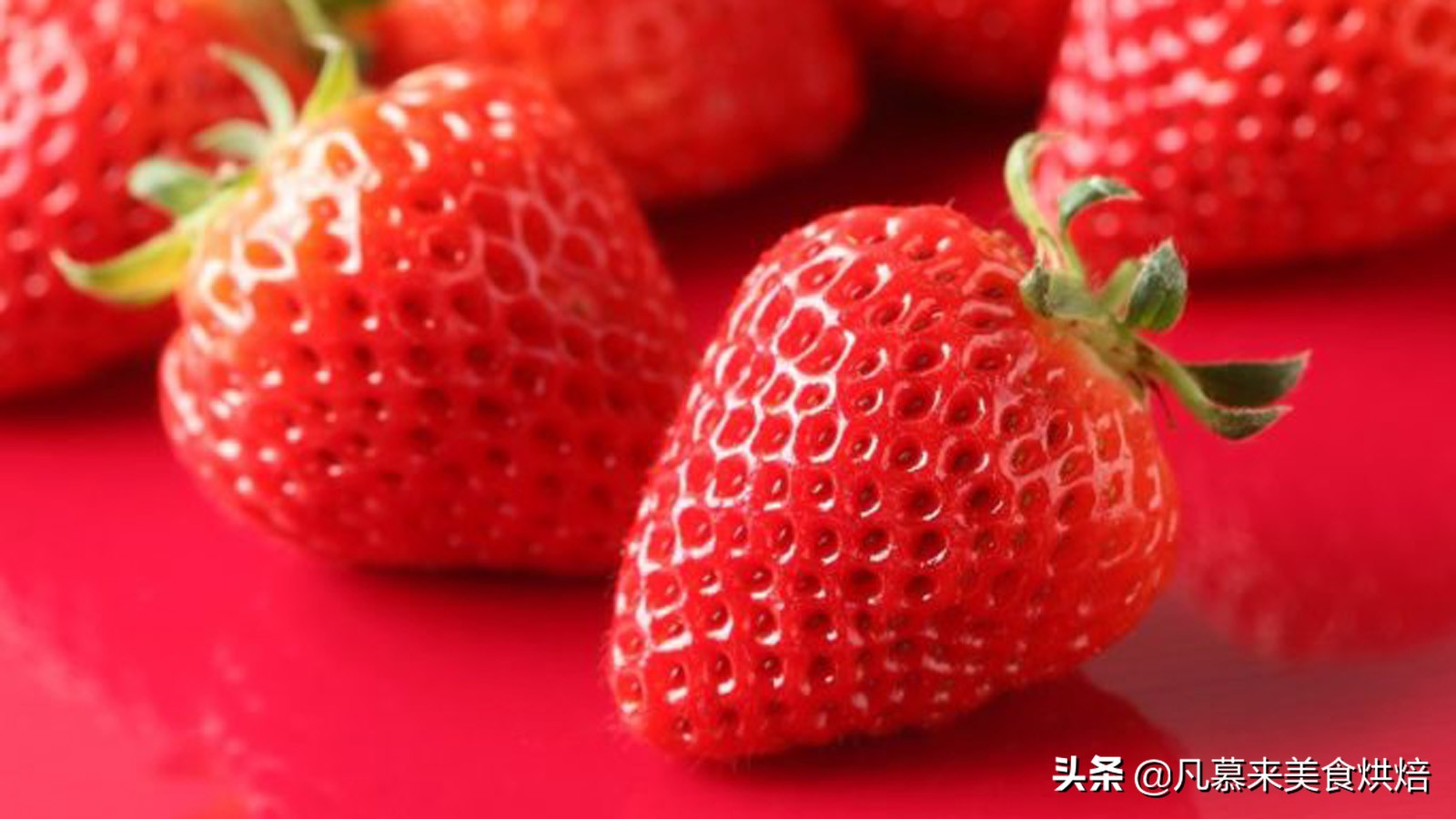 草莓哪个品种最好吃又好种,2018产量最好最大的草莓品种