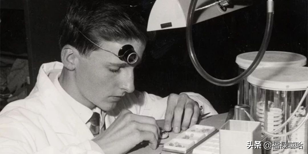 这位23岁的“小鲜肉”有着500岁的“灵魂”