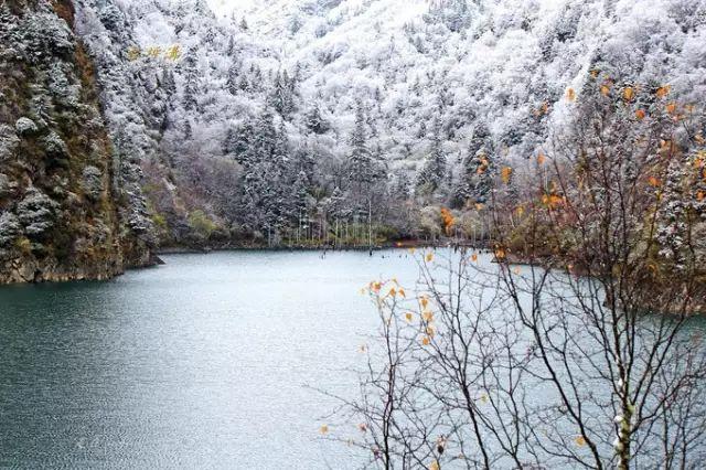 九寨沟旅游神奇的九寨,九寨沟风景不输瑞士