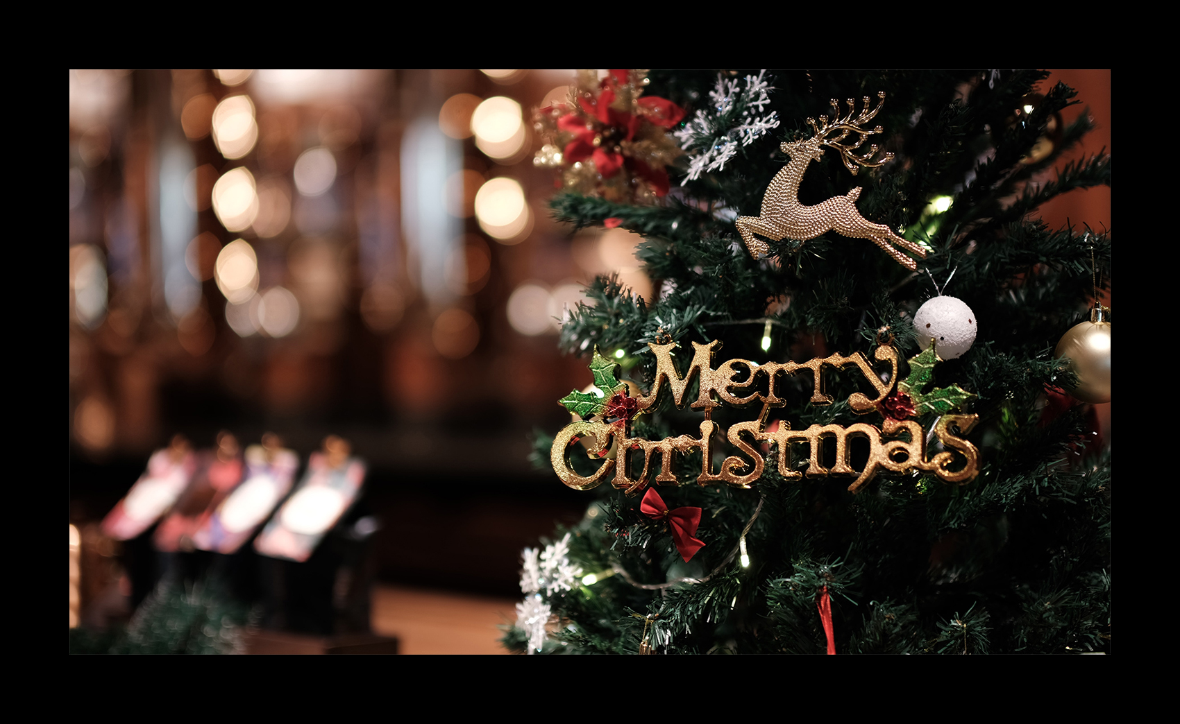 富士gfx100s微单镜头,松下微单和富士微单哪个色彩好