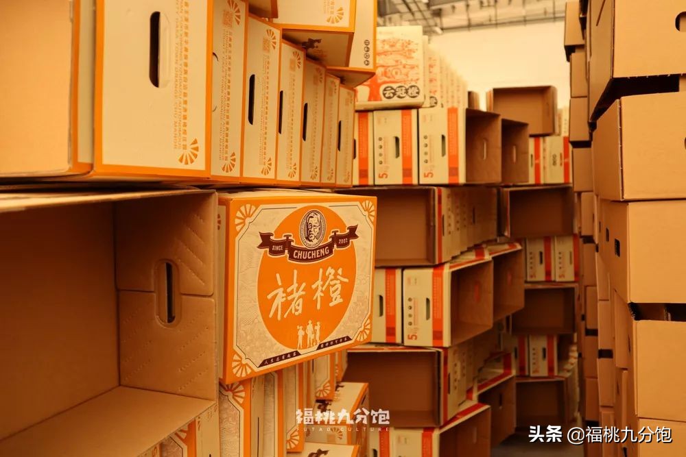 市场上卖的褚橙是真的吗,怎么区分真假褚橙2018