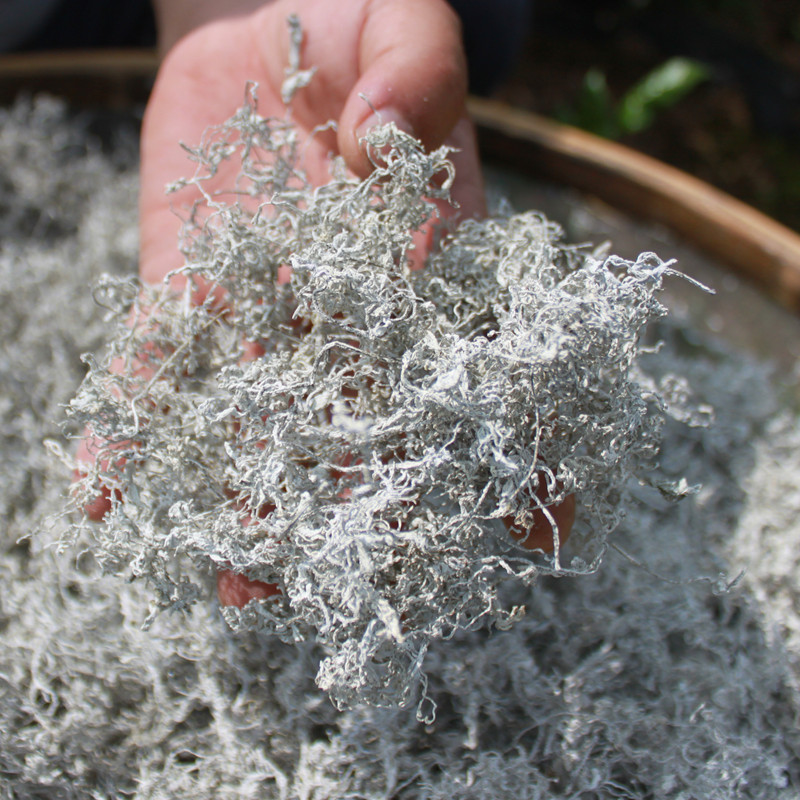 愚人节之后的清明节小长假，机智的小可爱都这么过