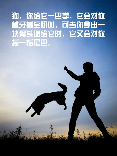 杜嘉班纳辱华后和谁代言,杜嘉班纳辱华事件后营销数据