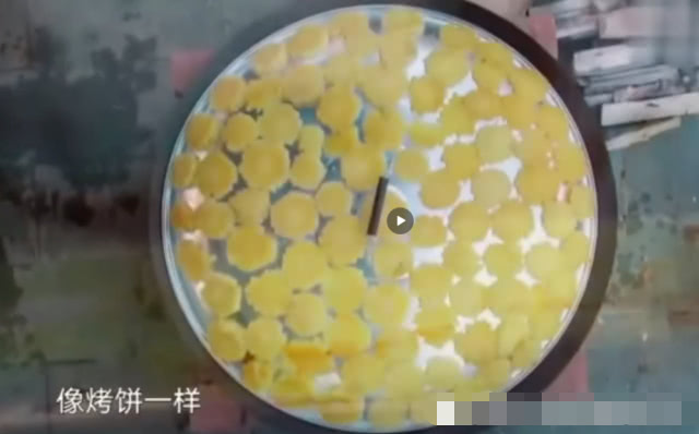 向往的生活第四季张子枫黄磊,向往的生活第四季黄磊油炸茄子