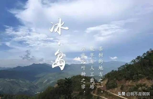 普洱茶真相揭秘切记不懂装懂,普洱茶切忌不懂装懂