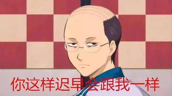 绿色的植物洗发水,绿色农场洗发水好用是真的吗