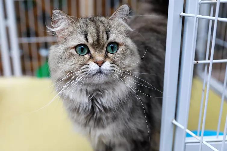 十堰市茅箭区赶集时间,十堰茅箭区约会